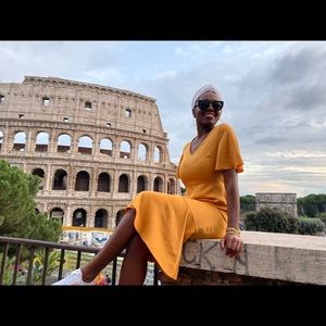 Banana Republic Dress- poplin silk